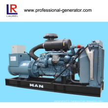100kw Biomass Gasification Power Generation with Man Engine